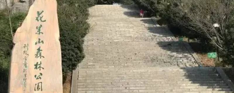 岳西花果山公园投资多少 岳西花果山公园投资多少亿