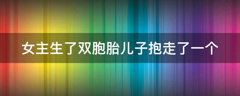 女主生了双胞胎儿子抱走了一个 女主生了双胞胎儿子抱走了一个男孩