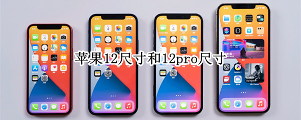 苹果12尺寸和12pro尺寸 苹果12尺寸和苹果12pro尺寸