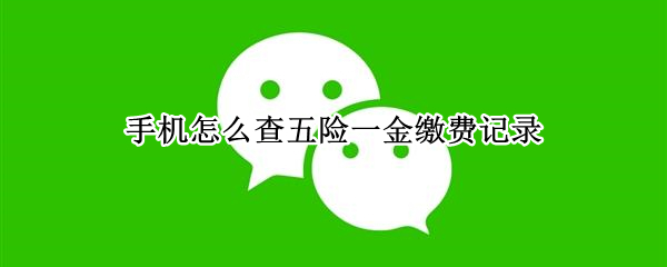 手机怎么查五险一金缴费记录 手机怎么查五险一金缴费记录查询