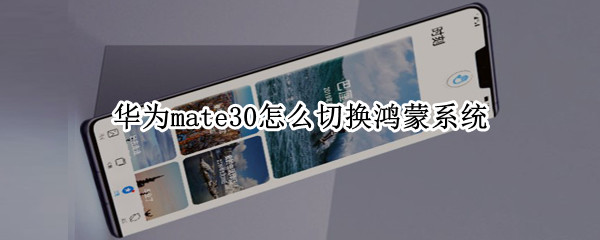 华为mate30怎么切换鸿蒙系统（华为mate30pro怎么切换鸿蒙系统）