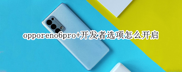 opporeno6pro+开发者选项怎么开启（opporeno5pro怎么开启开发者选项）