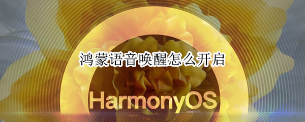 鸿蒙语音唤醒怎么开启（鸿蒙语音助手没有语音唤醒）