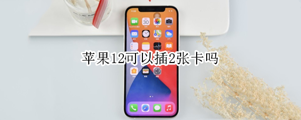 苹果12可以插2张卡吗（iPhone 12能插两张卡吗）