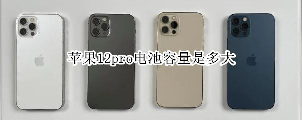 苹果12pro电池容量是多大（苹果12pro电池容量是多大的）