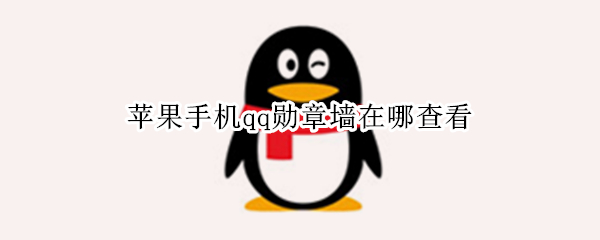 苹果手机qq勋章墙在哪查看（苹果qq勋章墙在哪里）
