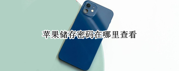 苹果储存密码在哪里查看（苹果储存密码在哪里查看的）