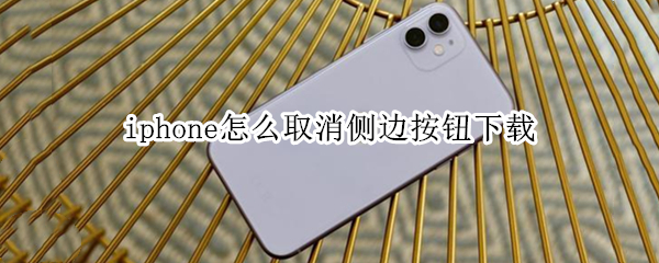 iphone怎么取消侧边按钮下载 iphone怎么取消侧边按钮下载使用密码下载