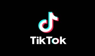 tiktok和抖音是一个公司吗