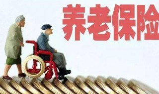 养老保险资料介绍（养老保险样本）