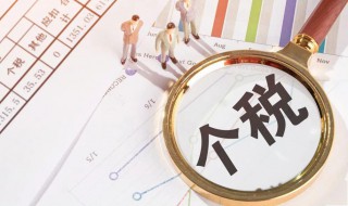 个税怎么交（工资个税怎么交）