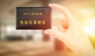 驾驶证怎么年审（坐牢了驾驶证怎么年审）