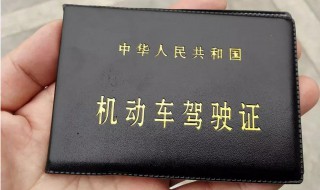 驾驶证怎么查 驾驶证怎么查询状态