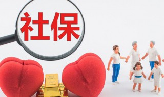 公司社保怎么查询