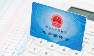 杭州社保怎么查询（杭州社保怎么查询不到）