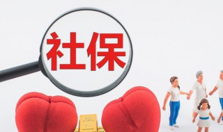 怎么自己上社保（怎么自己社保缴费情况）