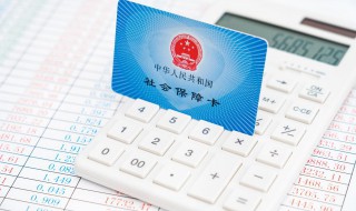 怎么查公司社保缴费记录（怎么查公司交的社保）