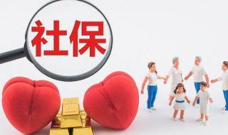个人交纳社保怎么交纳（自己个人交社保怎么缴纳）