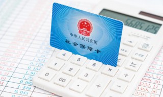怎么查社保明细 个人所得税里面怎么查社保明细