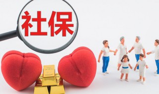 单位买的社保怎么查询（单位买的社保怎么查询不到）