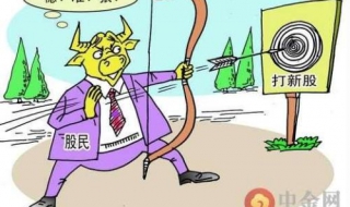新股申购技巧（北交所新股申购技巧）