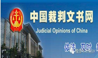 通过裁判文书网查询案件裁判文书（裁判文书公开网查询系统）