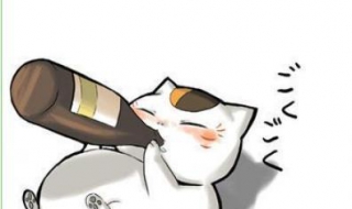 胃不舒服吃什么好 胃不舒服吃什么好消化
