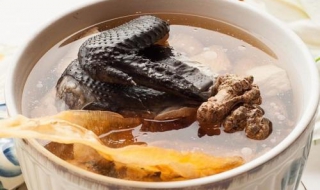 血压低吃什么好 血压低吃什么好的最快食补