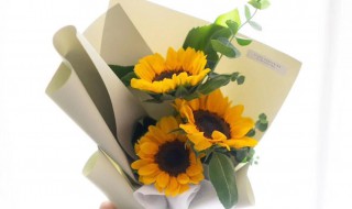 教师节送老师送什么花 教师节送老师送什么花束