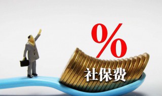 灵活就业只交医保不交其他可以吗（灵活就业只交医保不交其他可以吗怎么办）