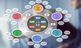 人力资源管理证书怎么报名条件 人力资源管理证书的报名条件