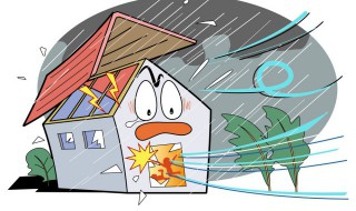 台风会给农民带来哪些影响（台风给农业带来的影响）