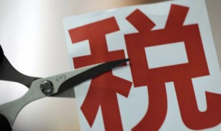 个人所得税怎么查询（个人所得税怎么查询工资明细）