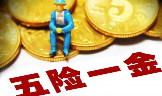 五险一金分别指什么（五险一金指的是什么?哪些?）
