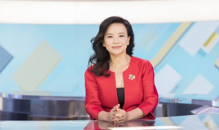 成蕾简介 主持人成蕾简介