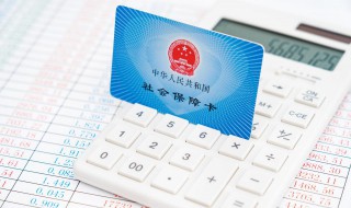 社保卡卡号怎么查（我的社保卡查询个人账户）