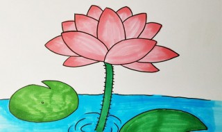 荷花怎么画简笔画 荷花怎么画简笔画又漂亮