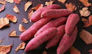 红薯的做法有哪些（红薯的做法有哪些家常菜）