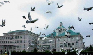 沈阳大学上网攻略 沈阳大学校园网入口