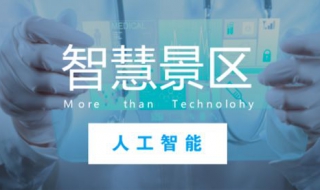 景区门户解决方案,提升服务水平（提升景区服务的综合方案）