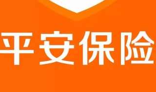 怎么查询平安保险保单（怎么查询平安保险保单交费记录）