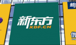 如何下载新东方（如何下载新东方网课）