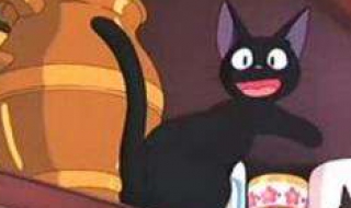 魔女宅急送小猫（猫咪宅急送）