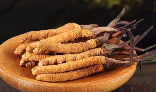 冬虫夏草泡水（冬虫夏草泡水可以天天喝吗）