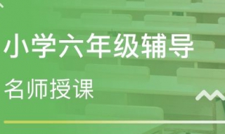 六年级英语学习方法 6年级英语怎么学