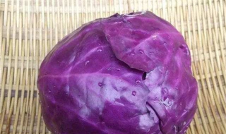 十字华科：素炒紫色包菜（紫色包菜能炒吗）