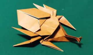 如何剪可爱甲壳虫（如何剪可爱甲壳虫视频）