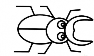 如何画甲壳虫 如何画甲壳虫图片