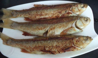 香煎华子鱼的做法（煎华子鱼的方法）