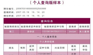 个人信用记录：在网上如何查询（个人信用记录网上怎么查询）